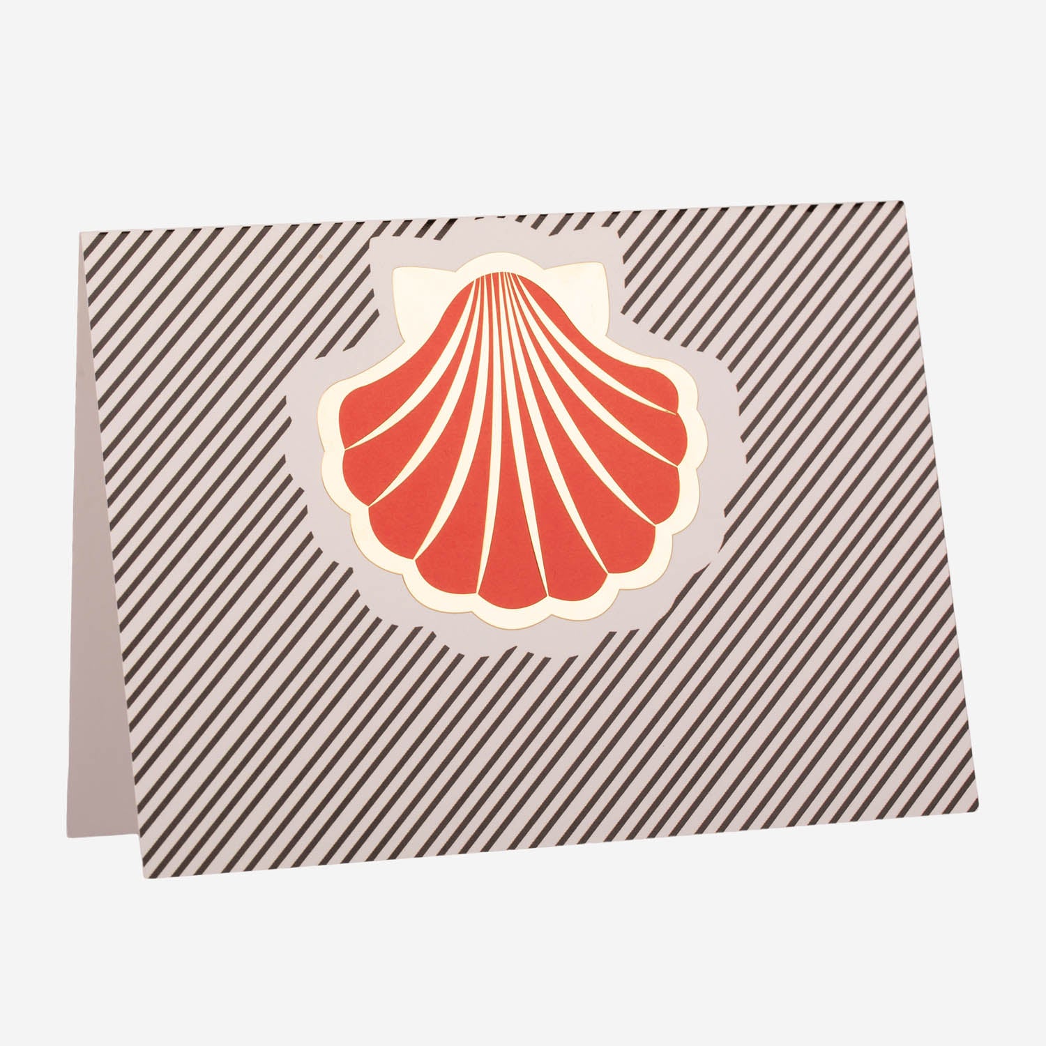 Card Background Shell Shell Foldable Card – Paparaty