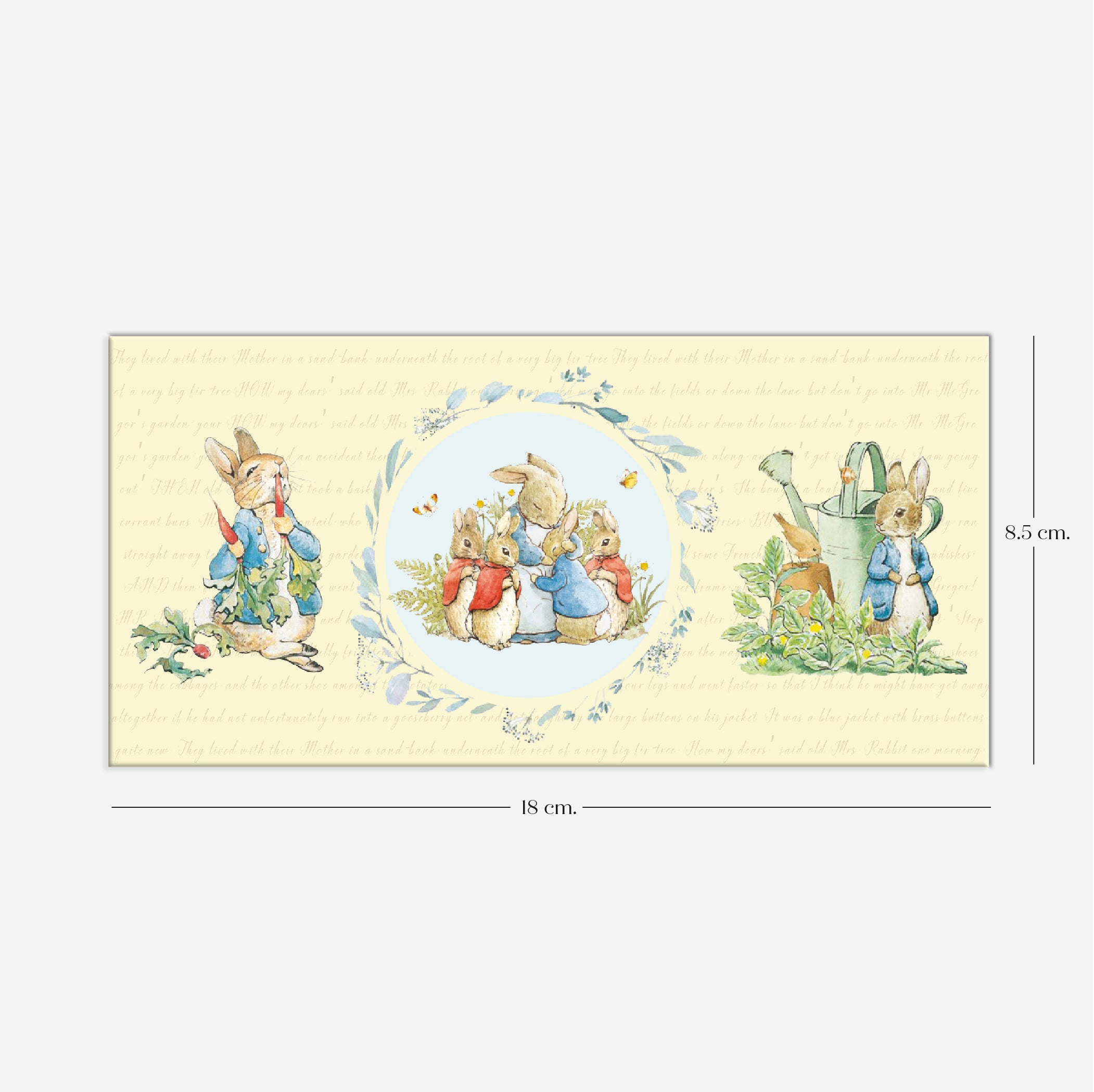 Peter Rabbit Money Envelopes (Pack of 12) – Paparaty